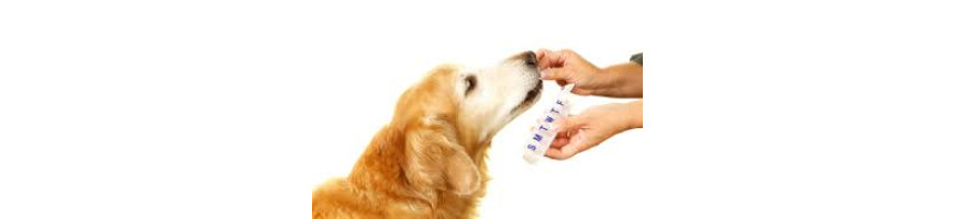 Dog Supplement 補充劑